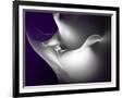 Gramercy Black