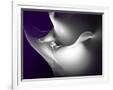 Gramercy White