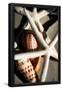 Essential Black