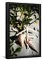 Essential Black