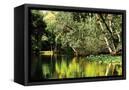 Canvas Black
