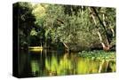 Stretched Canvas