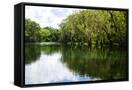 Canvas Black