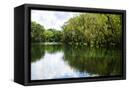 Canvas Black