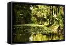 Canvas Black