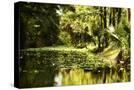 Stretched Canvas