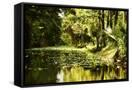 Canvas Black