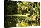 Stretched Canvas