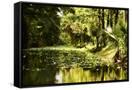 Canvas Black