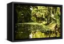 Canvas Black