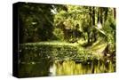Stretched Canvas