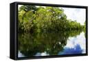 Canvas Black