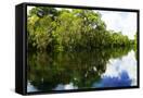 Canvas Black