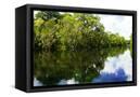 Canvas Black