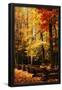 Essential Black