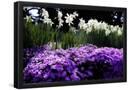 Essential Black