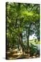 Stretched Canvas
