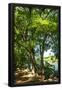 Essential Black