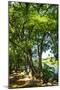 Wood Mount