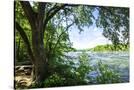 Stretched Canvas