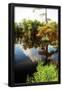 Essential Black