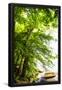 Essential Black
