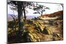 Wood Mount