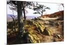 Wood Mount