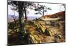 Wood Mount