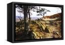 Canvas Black