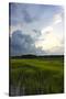 Stretched Canvas