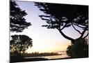 Wood Mount