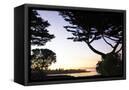 Canvas Black