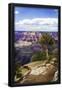 Essential Black