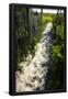 Essential Black