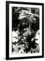 Gramercy Black