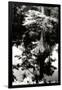 Gramercy Black