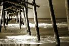 Just the Print