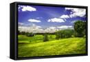 Canvas Black