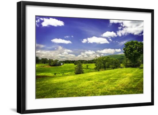 Premium Photographic Print, , large