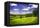 Canvas Black