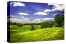 Stretched Canvas
