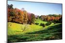 Wood Mount