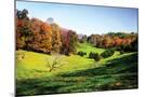 Wood Mount