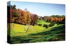 Stretched Canvas