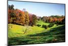 Wood Mount