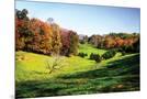 Wood Mount