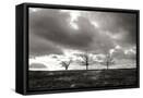 Canvas Black