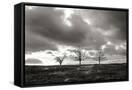Canvas Black