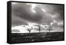 Canvas Black